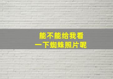 能不能给我看一下蜘蛛照片呢