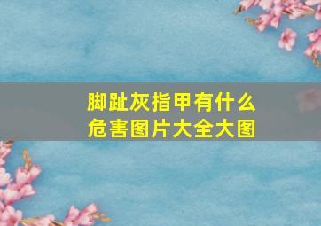 脚趾灰指甲有什么危害图片大全大图