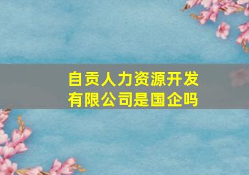 自贡人力资源开发有限公司是国企吗