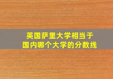 英国萨里大学相当于国内哪个大学的分数线