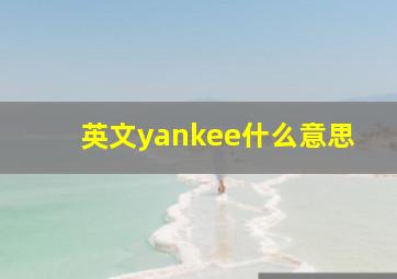 英文yankee什么意思