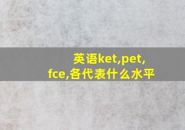 英语ket,pet,fce,各代表什么水平