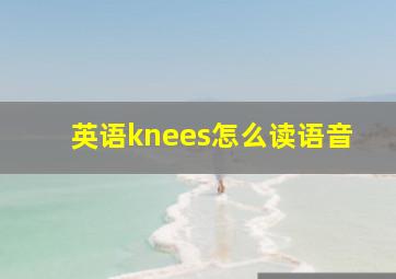 英语knees怎么读语音