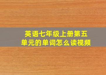 英语七年级上册第五单元的单词怎么读视频