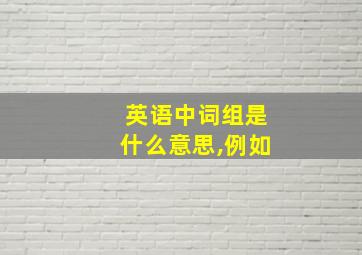 英语中词组是什么意思,例如