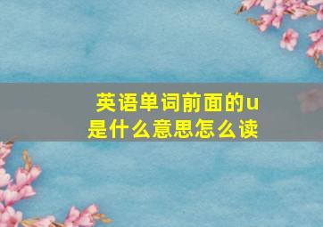 英语单词前面的u是什么意思怎么读