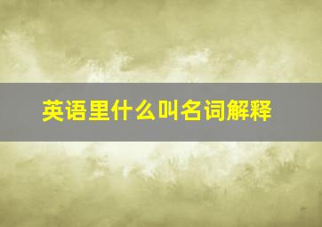 英语里什么叫名词解释