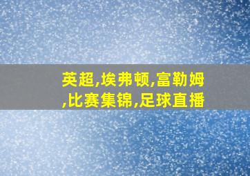 英超,埃弗顿,富勒姆,比赛集锦,足球直播