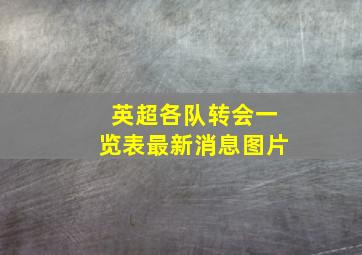 英超各队转会一览表最新消息图片