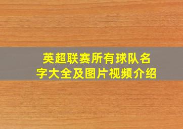 英超联赛所有球队名字大全及图片视频介绍