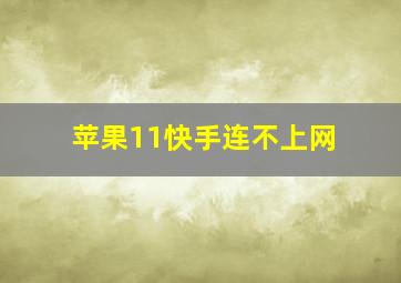 苹果11快手连不上网