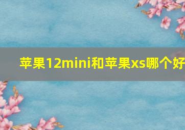 苹果12mini和苹果xs哪个好