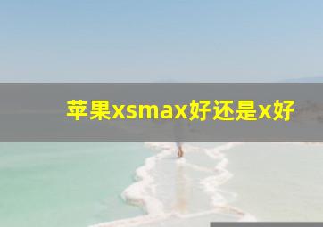 苹果xsmax好还是x好