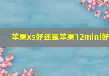 苹果xs好还是苹果12mini好