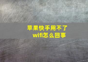 苹果快手用不了wifi怎么回事