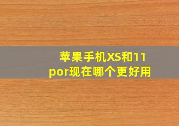 苹果手机XS和11por现在哪个更好用