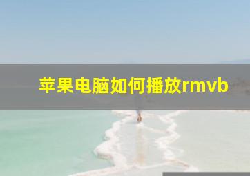 苹果电脑如何播放rmvb