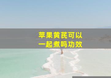 苹果黄芪可以一起煮吗功效