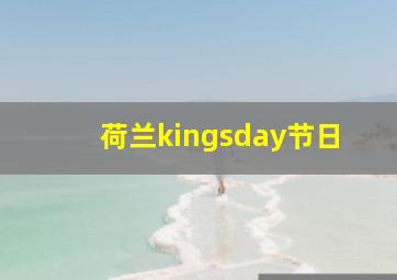 荷兰kingsday节日