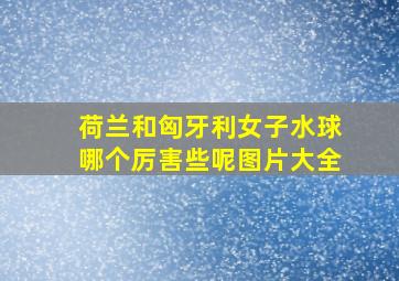 荷兰和匈牙利女子水球哪个厉害些呢图片大全