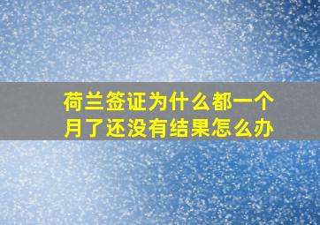 荷兰签证为什么都一个月了还没有结果怎么办