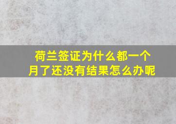 荷兰签证为什么都一个月了还没有结果怎么办呢