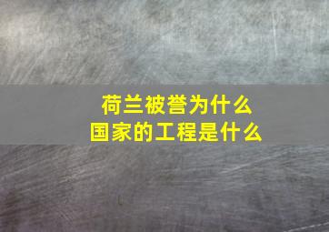 荷兰被誉为什么国家的工程是什么