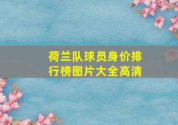 荷兰队球员身价排行榜图片大全高清