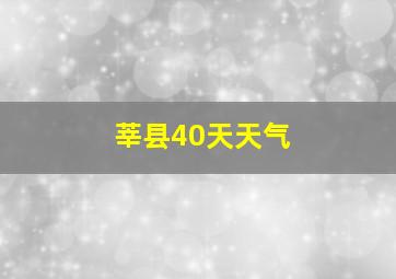 莘县40天天气