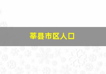 莘县市区人口