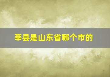 莘县是山东省哪个市的