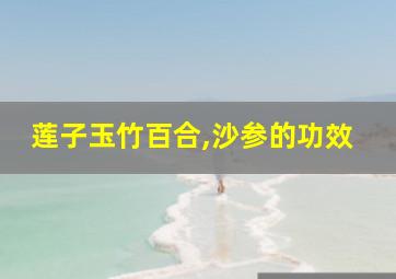 莲子玉竹百合,沙参的功效