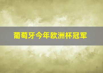 葡萄牙今年欧洲杯冠军