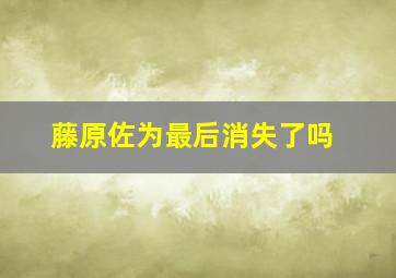 藤原佐为最后消失了吗