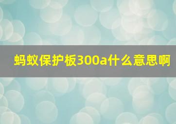 蚂蚁保护板300a什么意思啊