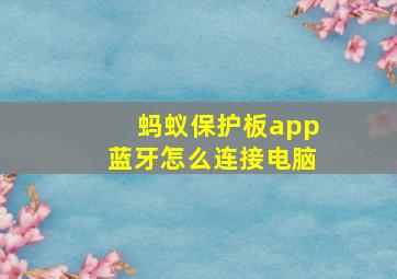 蚂蚁保护板app蓝牙怎么连接电脑