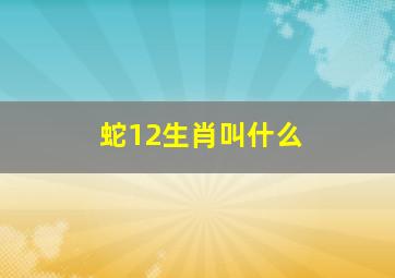 蛇12生肖叫什么