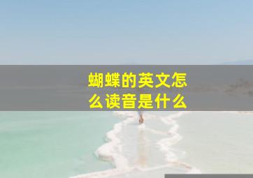 蝴蝶的英文怎么读音是什么