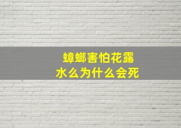 蟑螂害怕花露水么为什么会死