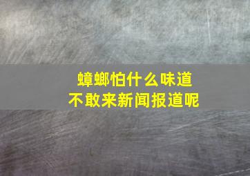 蟑螂怕什么味道不敢来新闻报道呢