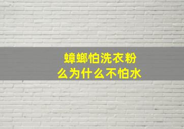 蟑螂怕洗衣粉么为什么不怕水