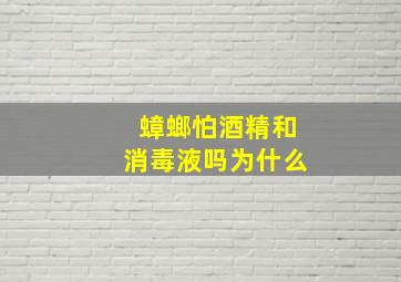 蟑螂怕酒精和消毒液吗为什么