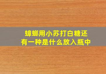 蟑螂用小苏打白糖还有一种是什么放入瓶中