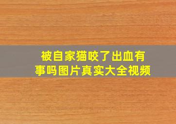 被自家猫咬了出血有事吗图片真实大全视频