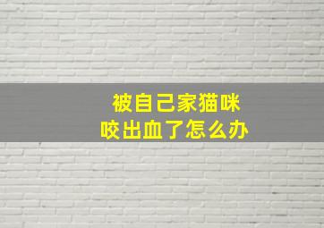 被自己家猫咪咬出血了怎么办