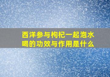 西洋参与枸杞一起泡水喝的功效与作用是什么