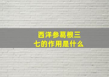 西洋参葛根三七的作用是什么