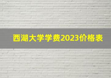 西湖大学学费2023价格表