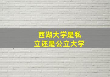 西湖大学是私立还是公立大学