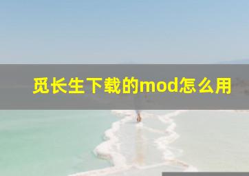 觅长生下载的mod怎么用